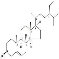 β-谷甾醇  CAS号：83-46-5