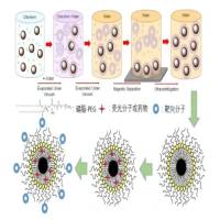 乙醇注入法制备纳米载体 脂质体包裹药物 Liposome制备方法