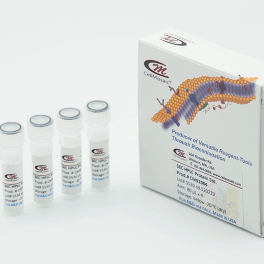 链霉亲和素-氨基寡核苷酸偶试剂盒