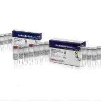 赛默飞 K16225-100T RT逆转录试剂盒(含DNA酶)