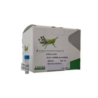 瓜蒌皮探针法PCR鉴定试剂盒