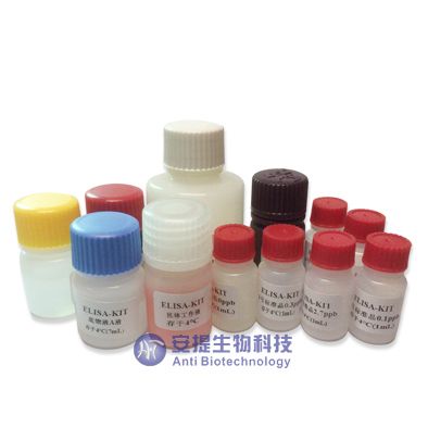 TG Ab 抗甲状腺球蛋白抗体检测试剂盒（化学发光）