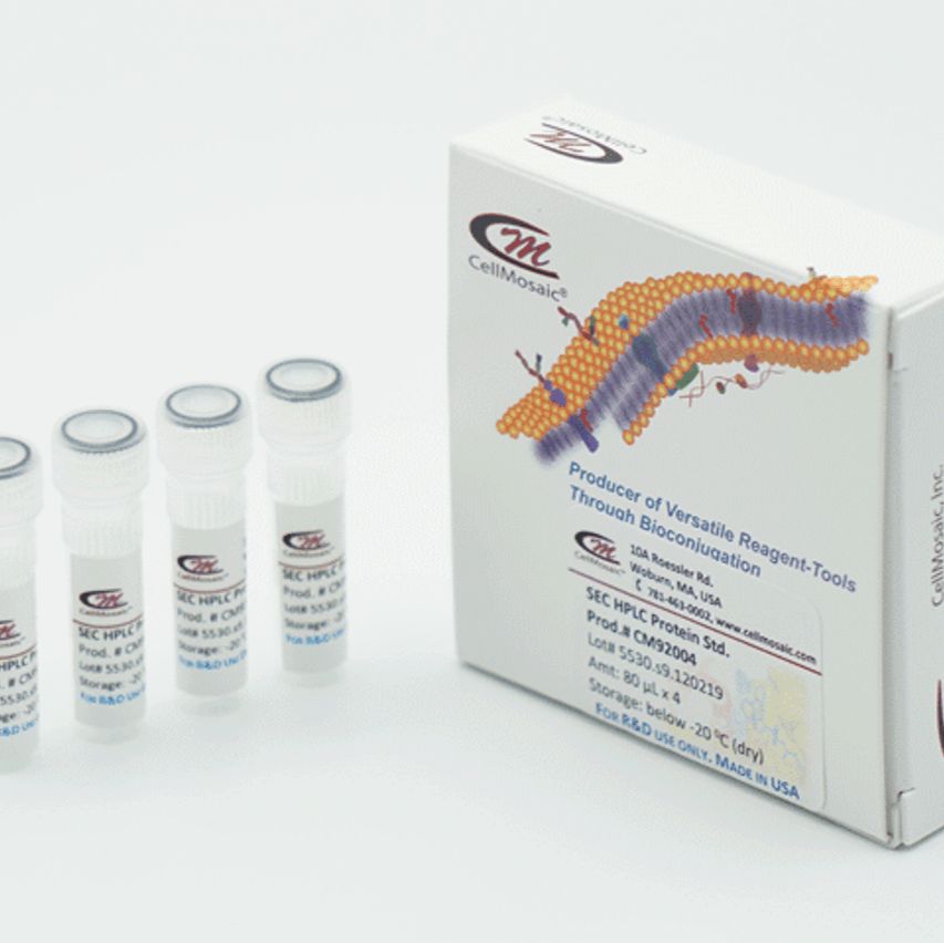 抗体-MMAE 偶联试剂盒（通过 VC-PAB ）