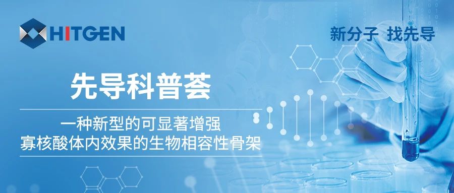 一种新型的可显著增强寡核酸体内效果的生物相容性骨架