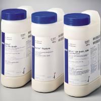 BD 232100-500g 脱脂奶粉