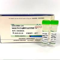 Seebio® 热启动Taq酶探针法qPCR预混液(2X)； Seebio®Hot Star TaqMan Probe qPCR Master Mix(2X)(Universal)