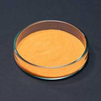 Cyanine5.5 抗人 TSLPR (TSLP-R) 抗体/PerCP