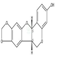 高丽槐素  CAS号：19908-48-6