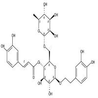 连翘脂苷A  CAS号：79916-77-1