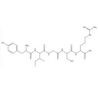 DSPE-PEG-YIGSR靶向修饰载药纳米颗粒脂质体