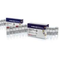 赛默飞 K16225-100T RT逆转录试剂盒（含DNA酶）