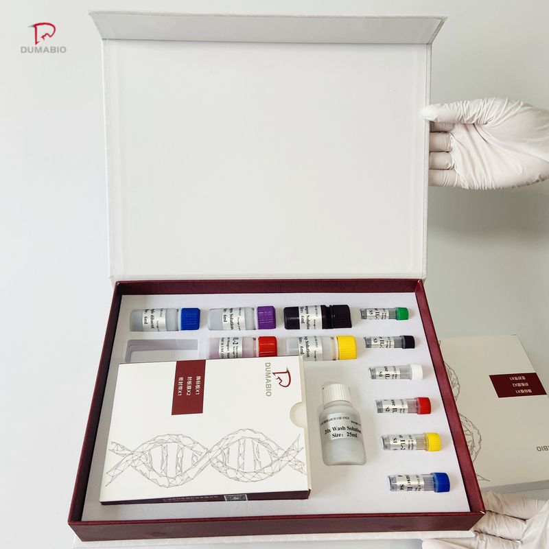 人血趋化因子CXCL12ELISA检测试剂盒免费代测 售后无忧