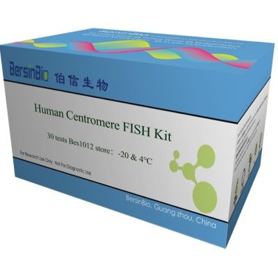 人着丝粒荧光FISH试剂盒（Human Centromere FISH Kit）