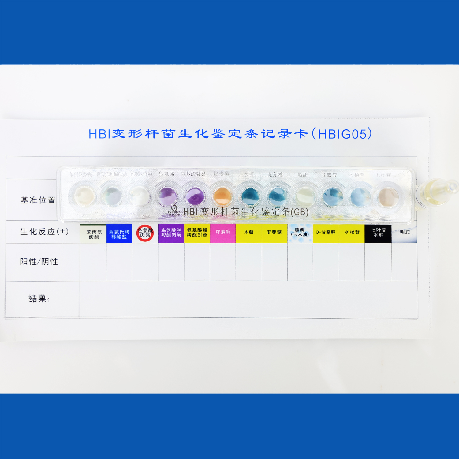 HBI变形杆菌生化鉴定条(GB)
