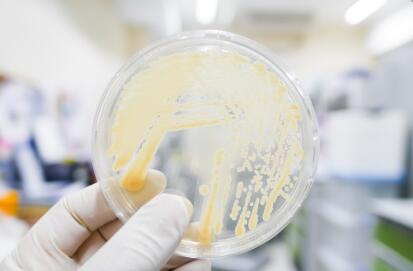 合成培养基主要成分详细介绍