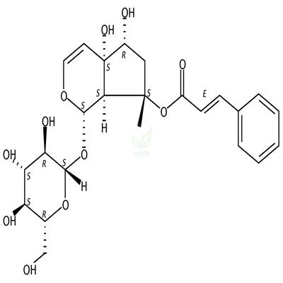 哈巴俄苷 CAS号:19210-12-9
