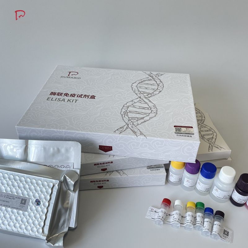 人纤溶酶原激活物抑制因子1(PAI-1)ELISA试剂盒价格