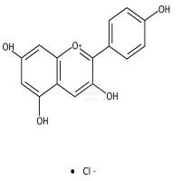 氯化天竺葵素 CAS号:134-04-3