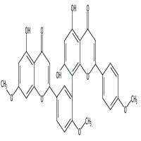 金松双黄酮  CAS号：521-34-6