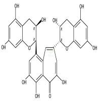 茶黄素  CAS号：4670-05-7