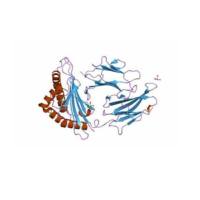 DSPE-PEG-VIP 靶向修饰载药纳米颗粒脂质体