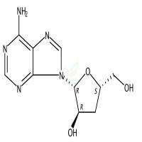 虫草素 CAS号:73-03-0