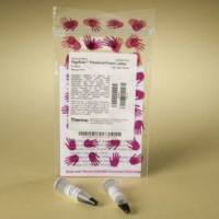 赛默飞 :26616-2 x 250ul 预染蛋白marker (10-180KD)