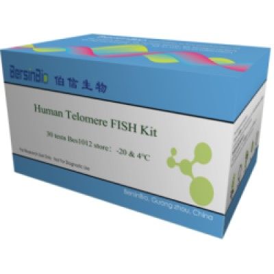人端粒荧光FISH试剂盒（Human Telomere FISH Kit）