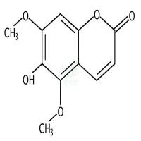 白蜡树精  CAS号：486-28-2