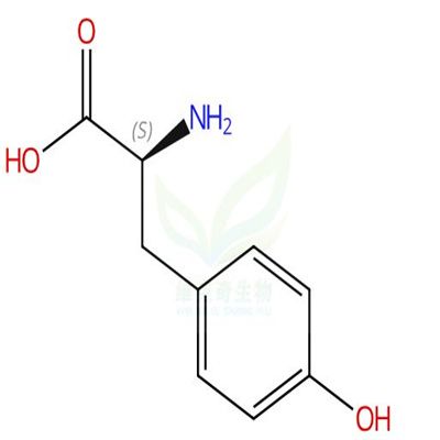L-酪氨酸  CAS号：60-18-4