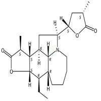 对叶百部碱 CAS号:6879-01-2