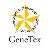 beta Actin antibody / GTX109639