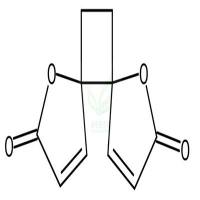 白头翁素 CAS号:90921-11-2