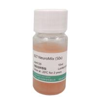 B-27添加剂 (50x)；B-27无血清添加剂