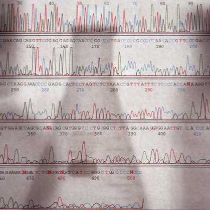 Purified 抗生物素 (Maxpar® Ready) 抗体
