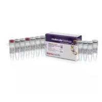 RT逆转录试剂盒 赛默飞  K1622 