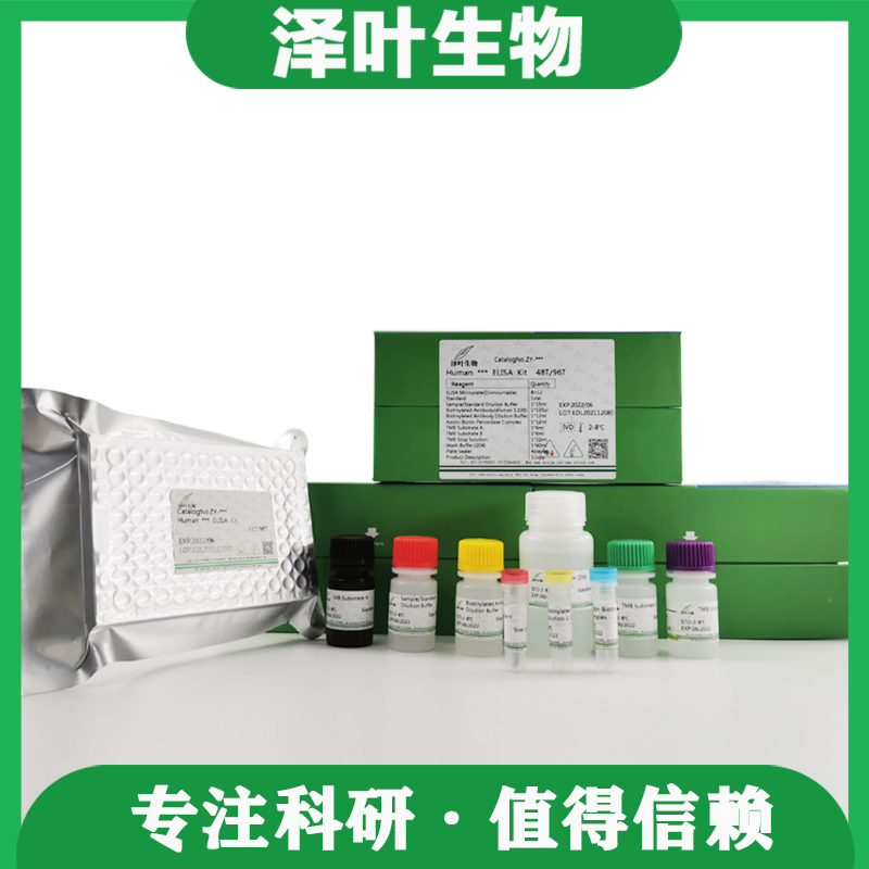 人D-氨基酸氧化酶(DAO)检测试剂盒