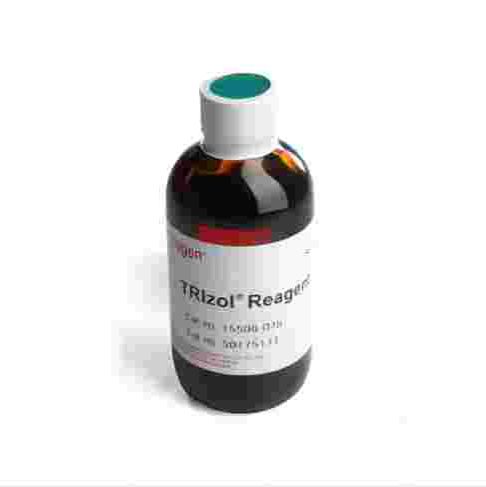 Invitrogen 15596026-100mL Trizol(总RNA提取试剂) 