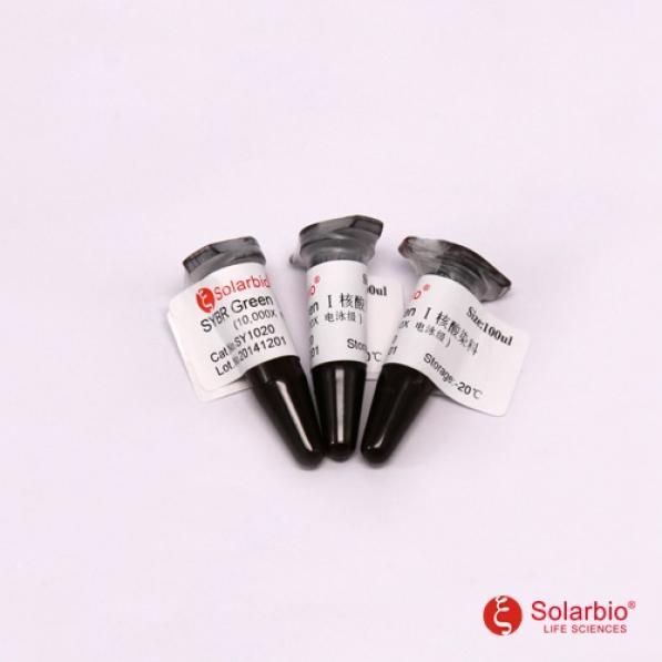 核酸染料SYBR Green I(10000×) 