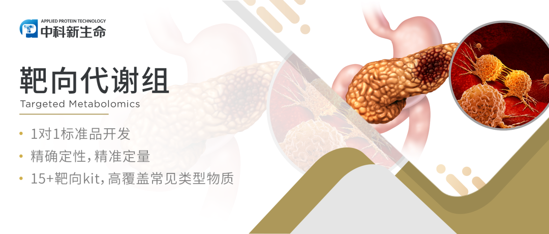 项目文章 Cell子刊（IF 14.3）| 分子细胞卓越中心高栋及合作团队利用代谢分型发现化疗耐药胰腺癌治疗新靶点