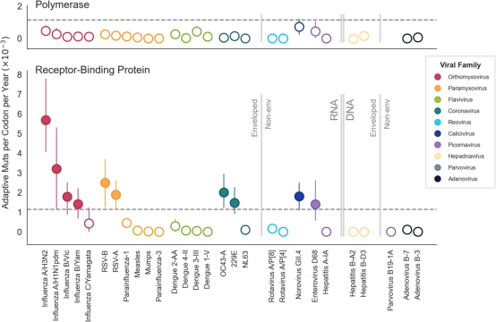 病毒的突变也是有规律的,一文揭秘病毒变化趋势