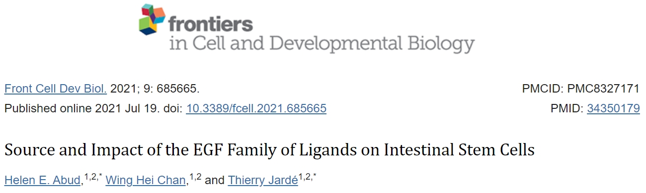 EGF 配体家族的来源及其对肠干细胞的影响