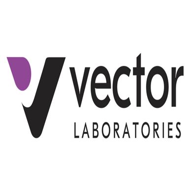  Vectorlabs中国独家代理 (PK-7100)VECTASTAIN® Elite ABC-Peroxidase KitElite ABC法即用型免疫组化试剂盒