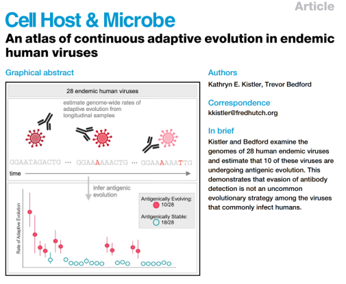 病毒的突变也是有规律的，一文揭秘病毒变化趋势