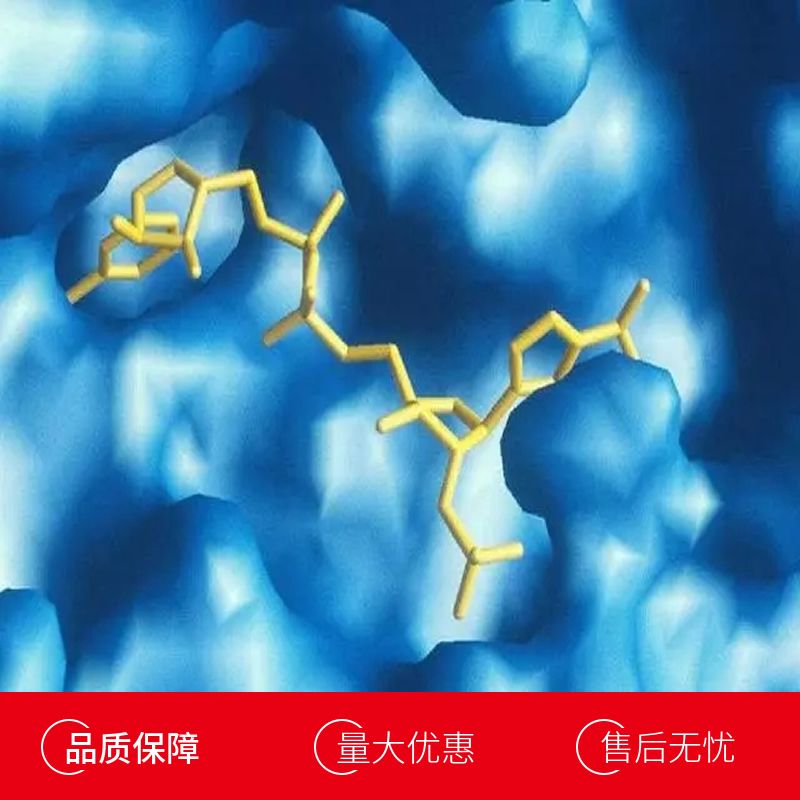 人肺部激活调节趋化因子(PARC)活性蛋白产品图