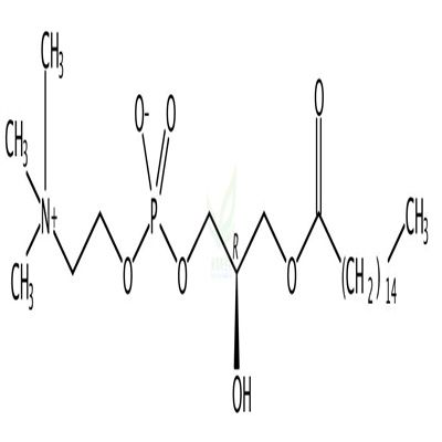 1-棕榈酰-sn-甘油-3-磷酸胆碱  CAS号：17364-16-8