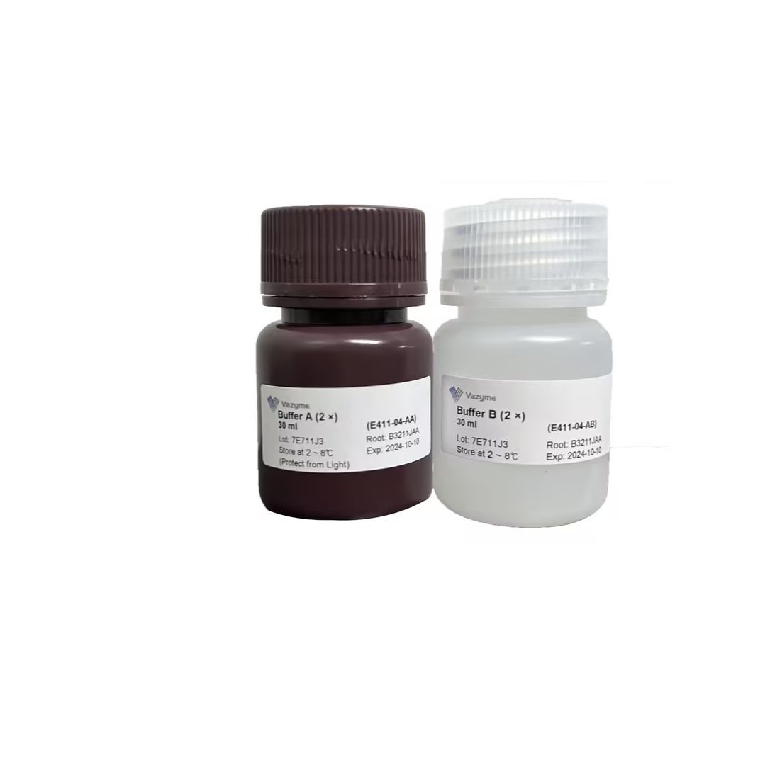 Western Blot 增强型ECL化学发光检测试剂盒(即用型)（高质量的Western 显影试剂）（E411）