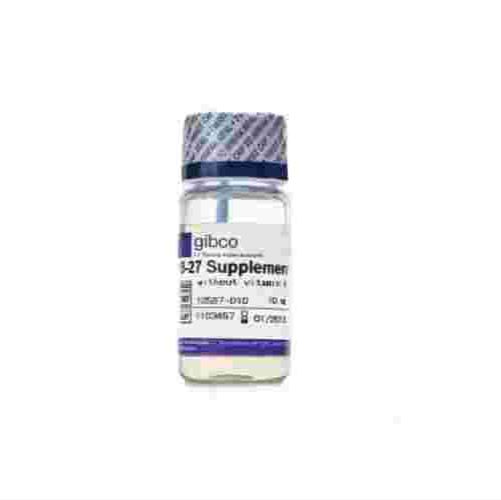 Gibco 12587010-10mL B27添加剂(不含维生素A）
