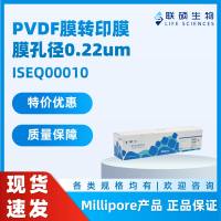 PVDF膜 15cm*13.5cm 0.22u, ISEQ00010