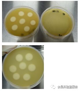 GB 8538中产气荚膜梭菌标准菌株复苏、活化、鉴定